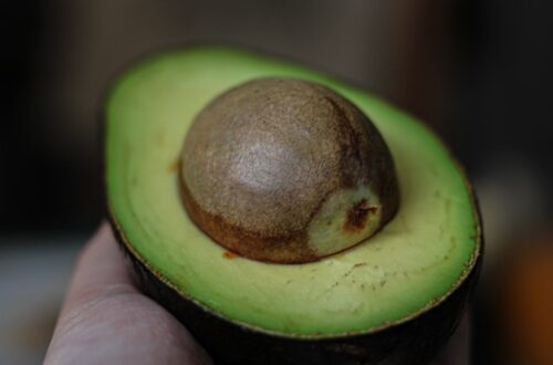 Photo Aguacate: Avocado