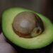 Photo Aguacate: Avocado